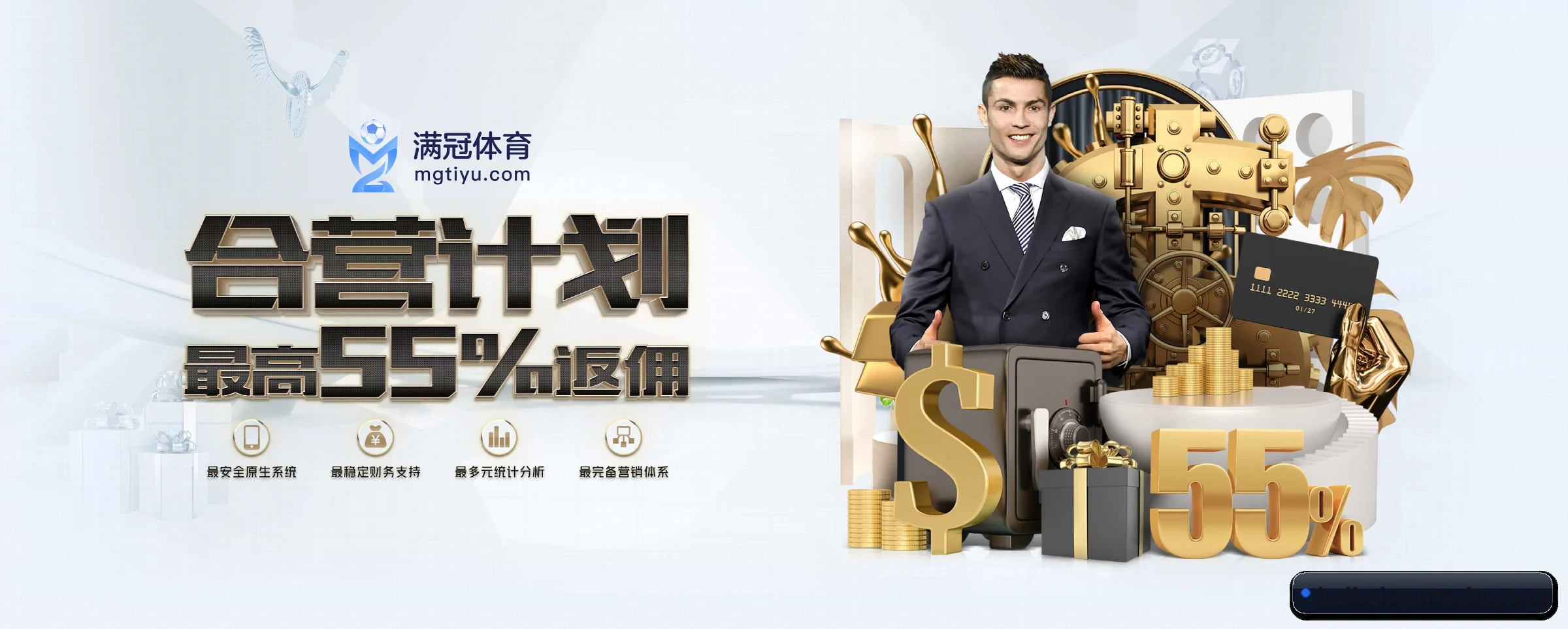 黑白体育 APP(heibaisports)